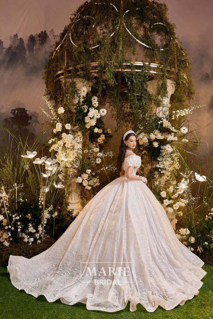 Ball Gown Dress – CH22