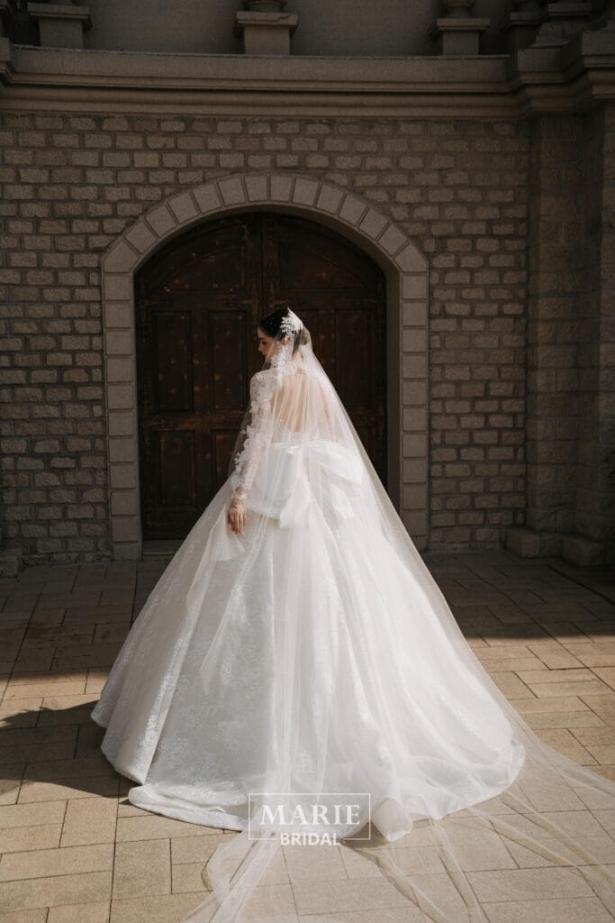 Ball Gown Dress – L73