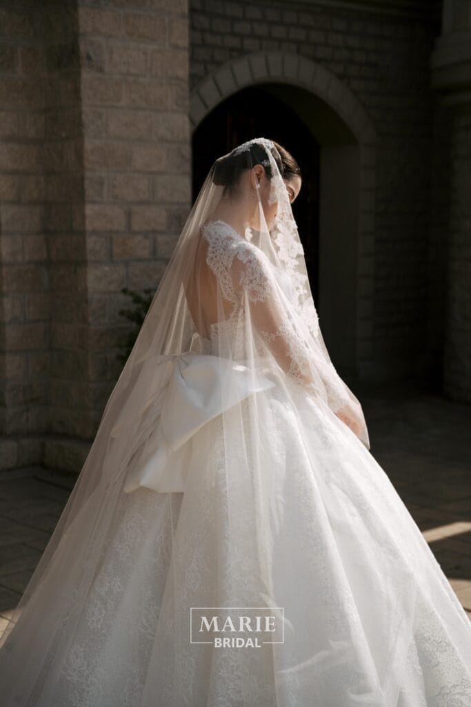 Ball Gown Dress – L73