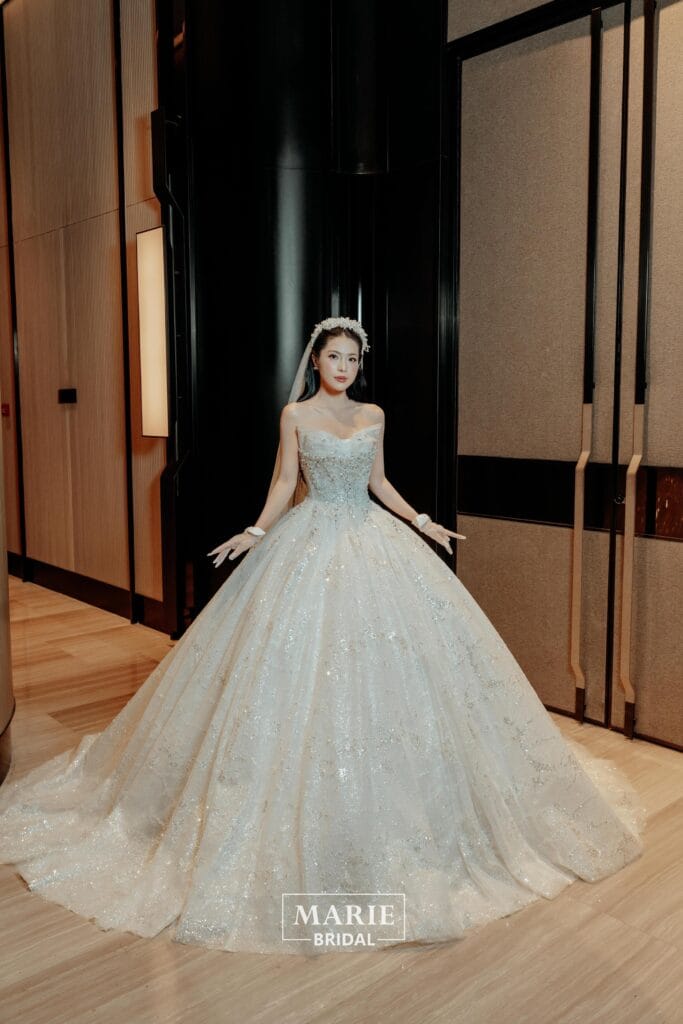 Váy Alie ( Công Chúa Tóc Mây )